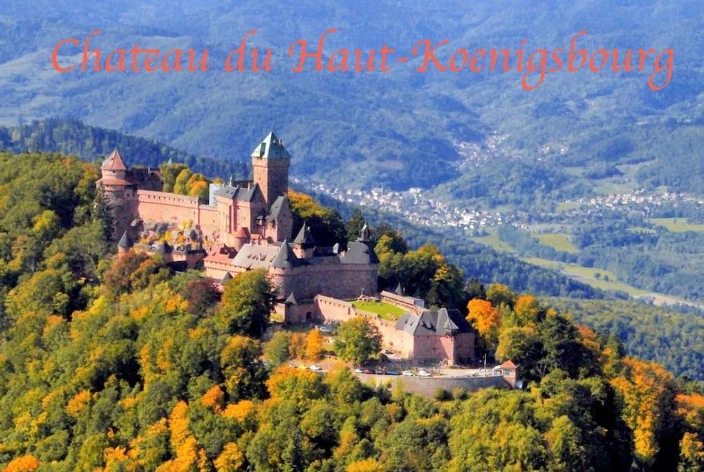 New L'Industr'Ill Au Coeur De L'Alsace Sélestat Exterior foto